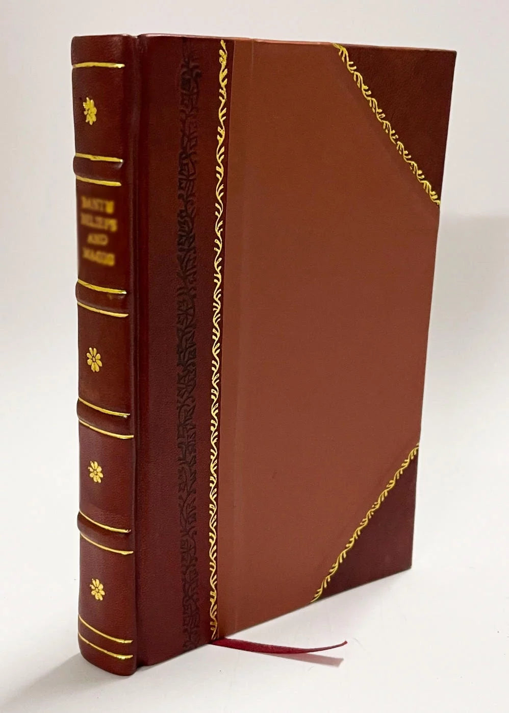 Novelties and Specialties Offered by Ellwanger & Barry / Mount Hope Nurseries,Ellwanger & Barry,Henry G. Gilbert Nursery and Seed Trade Catalog Collection (1903) (1903) Volume 1903 [Leather Bound]