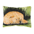Carolines Treasures SS8525PW1216 Chow Chow Decorative   Canvas Fabric Pillow, 12H x16W, multicolor
