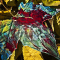 Chon - Grow (Translucent Yellow/Baby Pink LP) - Vinyl