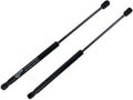 Rugged TUFF Front Hood Lift Support Shock Gas Strut Fits BMW 2004-2010 5-Series RT240057