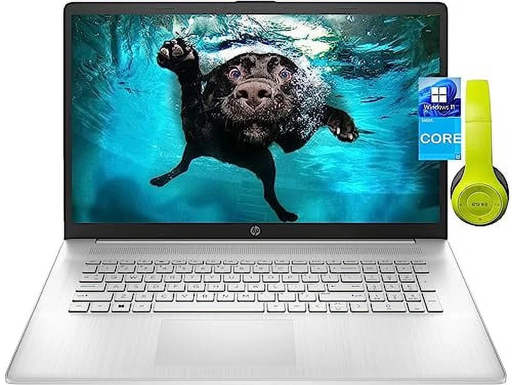 HP 17.3 inch Business Laptop, 12 Gen Intel Core i5-1235U (Beat i7-1195G7), 16GB RAM, 1TB SSD, Windows 11 Pro, Webcam, HDMI, USB-C, Numeric Keypad, Long Battery Life, Silver, PCM