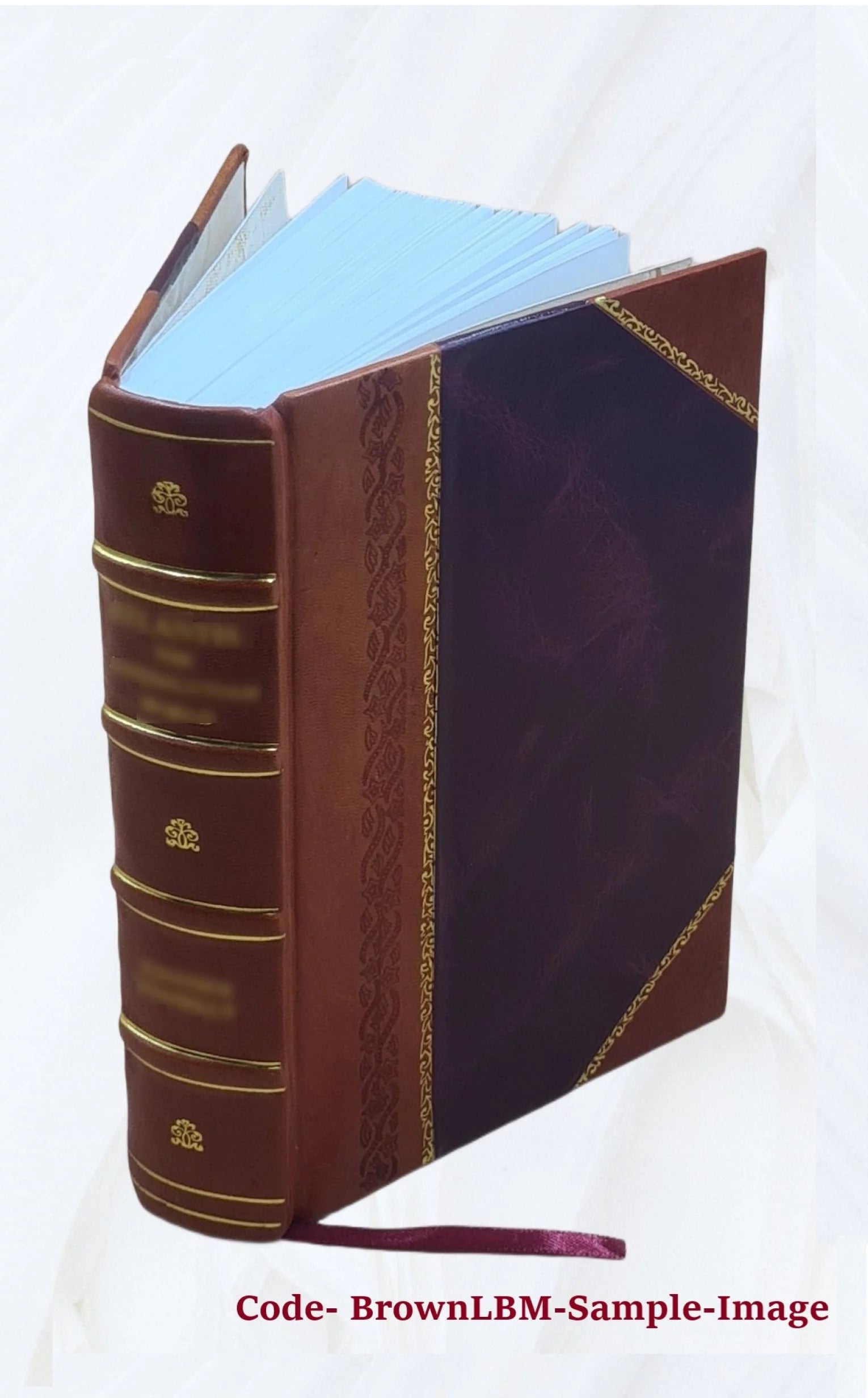 Southern France, including Corsica; handbook for travellers; by Karl Baedeker. 1902 [Leather Bound]